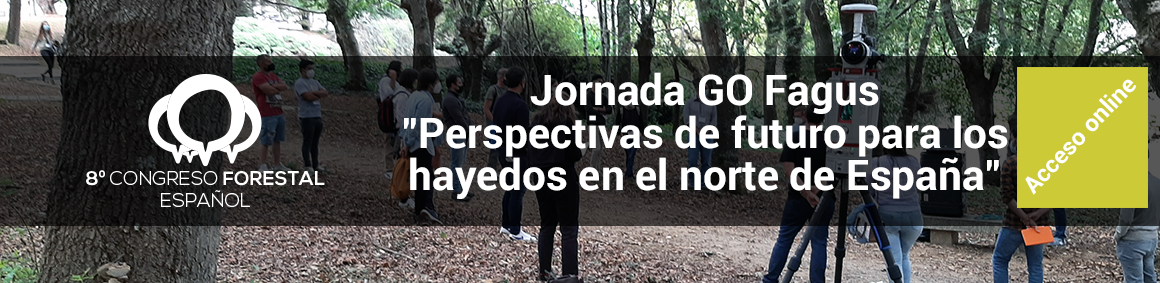 Contenidos de la Jornada GO Fagus: "Perspectivas de futuro para los hayedos y su madera en el norte de España"
