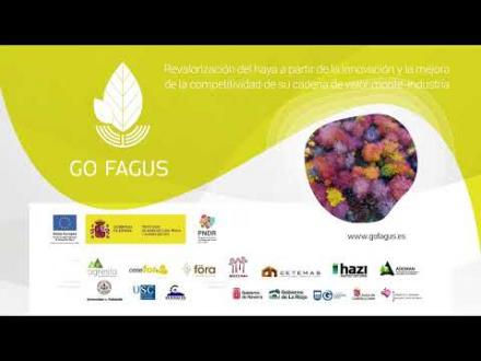 Embedded thumbnail for Resultados del proyecto Go Fagus